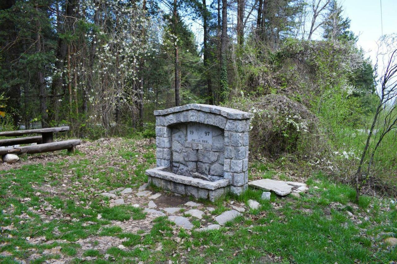 Detelina Residence Банско Екстериор снимка
